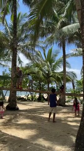 The video shows a group of people on a sandy beach under several palm trees. A man and a boy are balanced on a thick, horizontal palm tree trunk that is suspended between two standing palm trees. The man is wearing a brown shirt, shorts, and bright pink shoes, and he is holding onto one of the standing trees for support. The boy is wearing a light blue shirt and dark shorts. Several other children are on the ground, and one boy is standing and looking up at the man and boy on the trunk. A girl in a pink dress is squatting on the sand, and another girl is standing and looking at the group. The ocean is visible in the background, and the sky is blue with some white clouds.