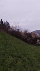 Spring countryside scenes documented in rural Bulgaria
