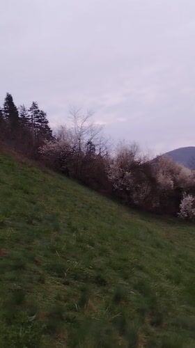 Spring countryside scenes documented in rural Bulgaria