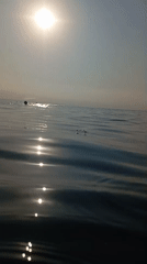 Sunny morning swim session on Konyaaltı's pebble beach