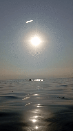 Sunny morning swim session on Konyaaltı's pebble beach