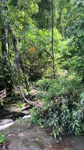 The video pans across a lush green forest scene. In the foreground, a stream flows over rocks. Further back, trees and dense vegetation create a canopy. The camera then moves to reveal a wooden railing and a sign with both Thai and English text that reads "Danger please stay off". The video ends with a panoramic view of a valley filled with trees and a distant cityscape.