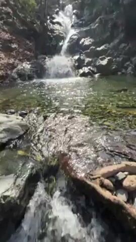 The video depicts a small waterfall cascading into a shallow, clear pool of water, surrounded by rocks and trees. The water flows gently over the rocks, creating ripples and small splashes. The trees have bare branches, suggesting it may be winter or early spring. The sky is blue and clear, with sunlight filtering through the trees. There are no people visible in the video. The focus is on the natural environment and the movement of the water.