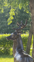 Everyday Moscow moments captured: park statue, crow, iced coffee