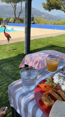 A casual table spread with drinks and a plated meal.