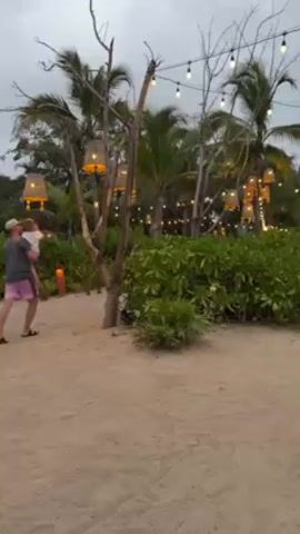 A man holding a child walks on a sandy area with sparse vegetation and palm trees under a cloudy sky. String lights and decorative lamps hang from trees and shrubs, suggesting an outdoor venue or beach area. The man is wearing shorts and sandals. The child is indiscernible. The overall scene gives a relaxed, tropical vibe.