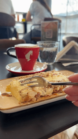 Afternoon Shopping and Dining Outing Documented in Podgorica