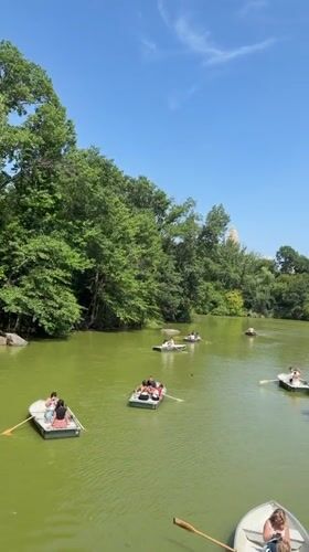 Rowboats out on Central Park's lake on a summer afternoon