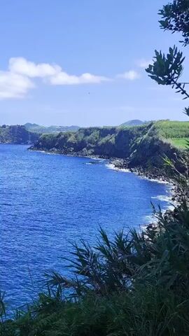 A video shows a vast expanse of deep blue ocean under a bright, clear sky with scattered white clouds. The water appears calm with gentle ripples. Along the coastline, green, vegetated cliffs rise from the water, with some areas showing rocky outcrops. In the foreground, tall, green reeds or grasses partially obscure the view of the water and the distant coastline. The overall scene depicts a serene coastal landscape on a sunny day.