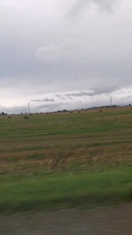 A view from a moving vehicle shows a rural landscape under a cloudy sky. In the foreground, a dirt road is visible. Beyond the road, a green field stretches out, with rows of cut grass or hay that have been baled into large round shapes, scattered across the field. In the distance, a line of trees marks the horizon, and power lines or utility poles are visible. The sky is overcast with gray clouds, suggesting a cool or possibly rainy day. The overall impression is one of agricultural land in the countryside.