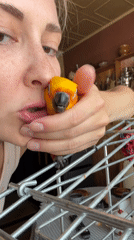 Morning bird interaction and breakfast captured in Khimki