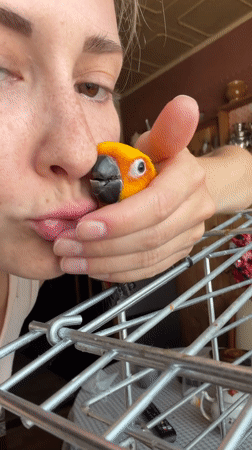 Morning bird interaction and breakfast captured in Khimki