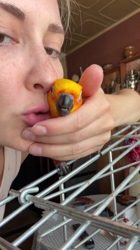 Morning bird interaction and breakfast captured in Khimki