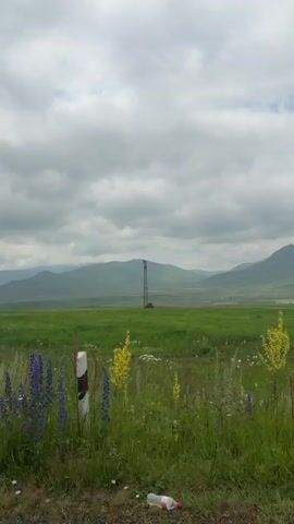 This is a vertical, first-person, point-of-view video taken from inside a vehicle traveling along a gravel road. The video pans across a landscape dominated by rolling green hills and a cloudy sky. In the foreground, there is a grassy field dotted with small white flowers and patches of purple lupine and yellow wildflowers. A tall, solitary metal pole, possibly a radio tower or electrical pylon, stands in the middle distance of the field. Further back, a body of water is visible, and beyond that, layers of hazy green mountains fade into the distance. The left side of the video occasionally shows a portion of the vehicle's side mirror and door. The overall atmosphere is serene and natural.