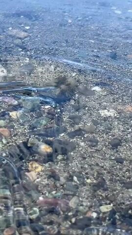 The video shows a close-up, low-angle view of shallow, clear water with a rocky, pebbly bottom. Small waves are gently lapping the shore, creating ripples and distortions on the surface of the water, which refracts the light and blurs the view of the submerged rocks. The bottom is composed of various sizes of grey, brown, and some reddish-brown pebbles and stones. The water is transparent enough to see the details of the seabed. The lighting suggests it is daytime, with the sun illuminating the scene. No people or animals are clearly visible, though the water's movement might imply the presence of marine life, such as small fish, that are too small or fast to be discernibly identified. The overall impression is one of a natural, serene aquatic environment.