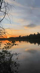 Sunset observed over calm water with orange reflections