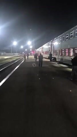 The video shows a train station at night. A train with multiple carriages is parked on the tracks. The train is lit up with interior lights visible through the windows. Several people are standing on the platform near the train. Some are walking, while others appear to be waiting. There is also a small white dog walking on the platform. The station is illuminated by streetlights, casting a dim glow on the scene. The sky is dark, indicating it is nighttime.