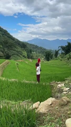 The video shows a person with long, curly hair walking along a path through a green rice paddy field. The person is wearing a white t-shirt and maroon pants. They have a black bag slung over their shoulder and are carrying a red garment or cloth. The rice paddy field is terraced and surrounded by hills covered with trees. In the distance, there are mountains and a cloudy sky with patches of blue. The foreground includes some rocks and more green grass. The camera is positioned slightly uphill, looking down at the scene. The person walks away from the camera.