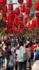 Morning temple visit draws families for fish feeding, lanterns