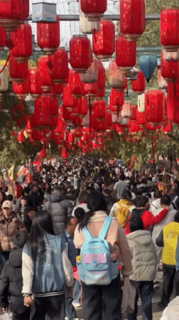 Morning temple visit draws families for fish feeding, lanterns