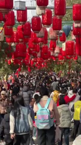 The video shows a large crowd of people walking through an outdoor area adorned with numerous red lanterns hanging overhead. The crowd appears diverse in age and attire. The lanterns create a dense, colorful canopy above the walkway, casting a warm light on the scene. The setting suggests a public gathering or a festival, likely in an Asian country based on the architectural style of the lanterns. The video provides a medium-range perspective, capturing both the scale of the crowd and the intricate details of the lantern display. The atmosphere seems lively and festive.