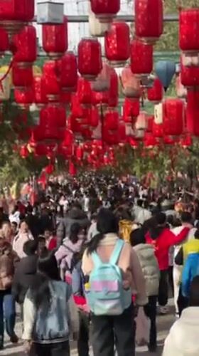 Morning temple visit draws families for fish feeding, lanterns