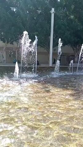 A public fountain is active with multiple streams of water spraying upwards. The water in the fountain basin is clear and rippling, with sunlight reflecting off its surface. In the background, there are lush green trees, a white pole with lights, and a modern building with windows. The scene appears to be set in an outdoor urban environment on a sunny day.