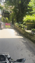 Morning street life captured across Ubud District, Indonesia