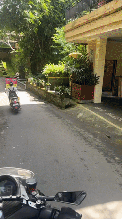 Morning street life captured across Ubud District, Indonesia