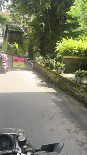 Morning street life captured across Ubud District, Indonesia