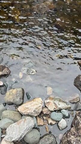 The video shows a waterfall cascading into a small, still pool. The water is clear enough to see the rocks at the bottom. The waterfall is surrounded by a rocky cliff face. The camera begins at the edge of the pool, with stones visible. The camera then pans upwards revealing the waterfall.