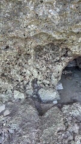 The video shows a close-up view of a rough, porous rock surface. There are several small holes and crevices in the rock. As the camera zooms in, three small, camouflaged crabs become visible. They are clinging to the surface of the rock. They are stationary throughout the clip. The rock appears to be near a body of water, as there is sand and a small pool of water visible at the base of the rock.