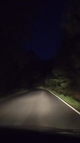 The video shows a point-of-view shot from a vehicle driving on a dark, paved road at night. Headlights illuminate the road ahead and the surrounding trees, which are dense and dark. The sky is a deep blue, indicating twilight or a moonless night. The road appears to curve to the left. In the distance, a white object, possibly a vehicle or sign, is visible on the right side of the road, illuminated by the headlights. The vehicle continues to drive forward, and the white object disappears from view as the road curves. No people are visible in the video. The environment appears to be a wooded area.