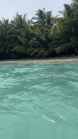 Dhigurah, Maldives