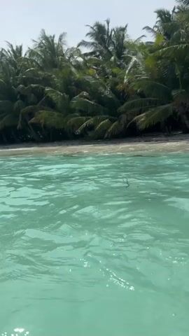 The video shows a serene ocean scene with clear turquoise water. A lush green palm tree-lined beach is visible in the background. The camera appears to be in the water, looking towards the shore, and then pans out to show the vast expanse of the ocean under a cloudy sky. The scene is peaceful and idyllic, evoking a sense of tropical paradise.