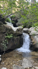 Forest waterfall and stream documented in Cercedilla, Spain