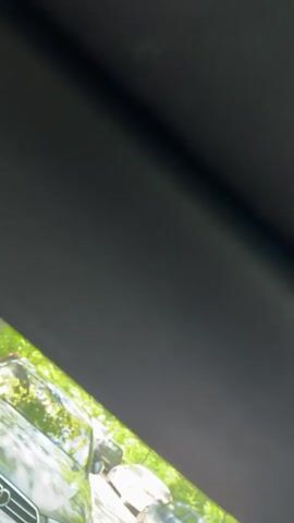 The video begins with a close-up shot of a gray surface, possibly the interior of a vehicle. The camera then pans upwards to reveal a view of green trees with leaves backlit by sunlight. The sky is visible in patches between the leaves.