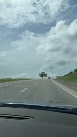 The video shows a view from inside a car driving on a paved highway. In the distance, a single tree stands in the middle of a wide median separating lanes of traffic. The sky above is partially covered with puffy white clouds against a blue sky. There is another car far ahead. The road is flanked by green fields on either side.  A sign is visible on the right. The dashboard of the car is at the bottom of the frame. The scene appears calm and quiet.