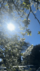 Spring morning scenes captured across Sofia metro and outdoors