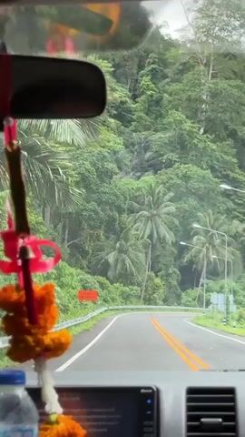 The video shows a first-person perspective from inside a vehicle driving on a paved road through a lush, green, mountainous area. The road curves to the right and is bordered by a metal guardrail on the left and dense foliage on the right. Several palm trees are visible among the other trees and vegetation that cover the hillside. The sky appears overcast. Traffic lights and signs are visible along the roadside. The dashboard of the vehicle is partially visible in the foreground, with a screen displaying information and an air vent. A decorative item, possibly a garland, is hanging from the rearview mirror.