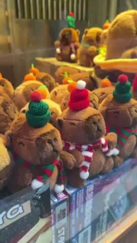 The video shows a glass-encased display filled with small, brown, stuffed bear toys. Each bear wears a tiny knitted hat, either red or green, and a striped scarf in red, green, and white. Some bears have a small orange decoration on top of their head instead of a hat. Several bears are piled on top of each other, forming a tiered arrangement within the display. The background behind the bears is blurred, suggesting the scene is in a shop or arcade setting.