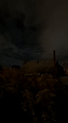 Nighttime wander through Tyumen: plants, apartments, and overcast skies