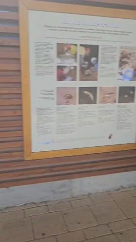 The video pans across a wooden slatted wall with three framed informational signs mounted on it. The signs are in French and appear to be about geology or natural history, with diagrams, text, and images. The first sign on the left is partially visible. The middle sign has the title "le karst". The third sign on the right is partially visible and has the title "le calcaire et l'eau". The wall is mounted on a grey concrete base, and in front of it is a tiled walkway. The lighting suggests it is daytime, possibly outdoors or in a well-lit indoor space. There are no people visible in the video.
