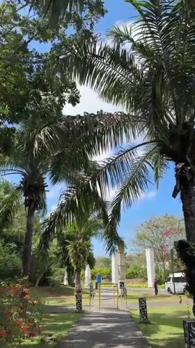Ornate gardens and street life along a Kuta Selatan boulevard