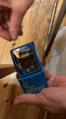 Domestic moments with music box, woman, cats in Malakhovka
