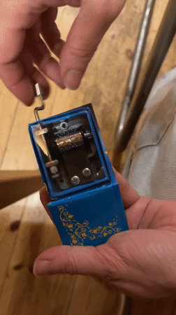 Domestic moments with music box, woman, cats in Malakhovka
