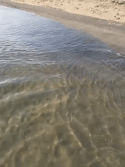 Morning beach wading at Mỹ Khê, Đà Nẵng