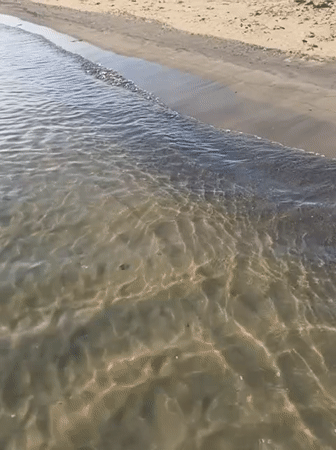 Morning beach wading at Mỹ Khê, Đà Nẵng