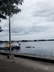 Excavators dredge waterway as egrets watch in Lhokseumawe