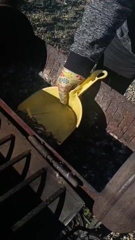 A person wearing a long-sleeved gray top and floral-patterned gloves is cleaning an outdoor cooking apparatus, likely a grill or fire pit. The scene is set outdoors on a gravelly surface under bright sunshine, indicated by strong shadows.

The individual uses a yellow dustpan to scoop dark, granular material, appearing to be charcoal ash or burnt wood remnants, from the base of a rusty, metallic structure. This collected debris is then transferred into a white plastic bag. The bag, which already contains some dark material, has red lettering on it, with a prominent "M" visible.

The person systematically cleans the inner cavity of the metallic structure, which features a heavy-duty griddle-like top and a deeper basin for ash collection. The activity involves repetitive scooping and emptying until the structure appears clean. The overall impression is of a routine outdoor maintenance task. No specific emotions are discernible.